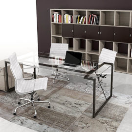 Ibis cristal